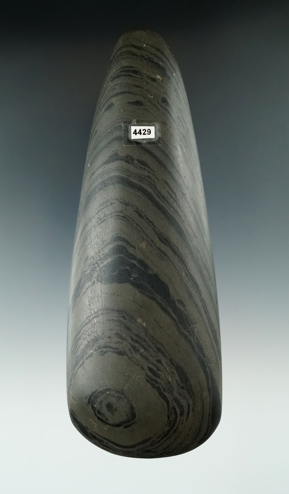 6 1/16" Banded Slate Adena Celt.  Ex. Gilley, Horsefly Bush.