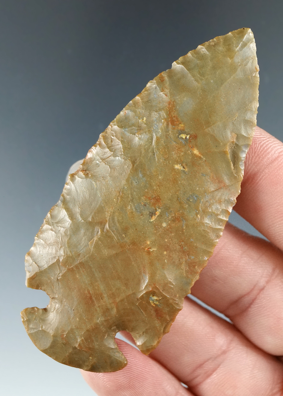 2 15/16" Carter Cave Dovetail found in Hart Co., Kentucky. Comes with a Jackson COA.