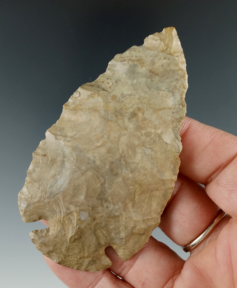3 3/16" Dovetail found in Green Co., Kentucky, made from Ft. Payne Chert. Ex. D. Epley.