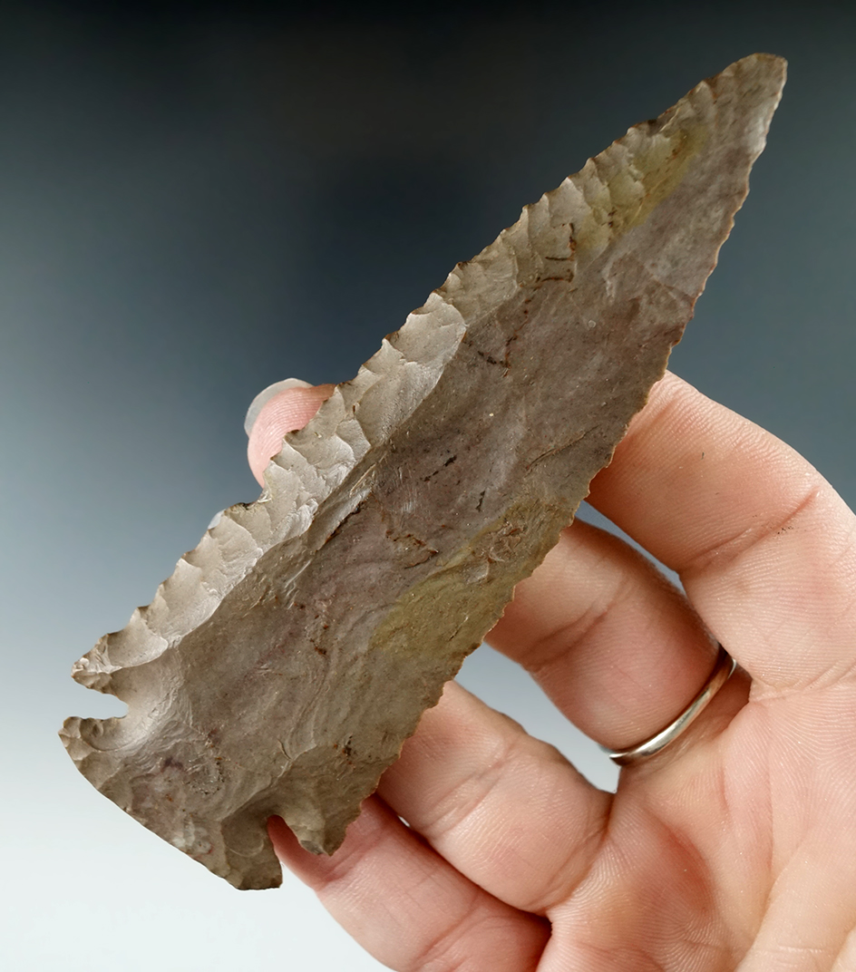 4 1/8" Dover Chert Dovetail found in Kentucky by Ollie Miller. Comes with a Davis COA.