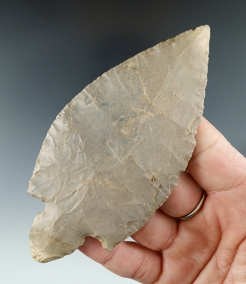 Nicely patinated 4 9/16" Hebron Turkeytail found in Union Co., Indiana.