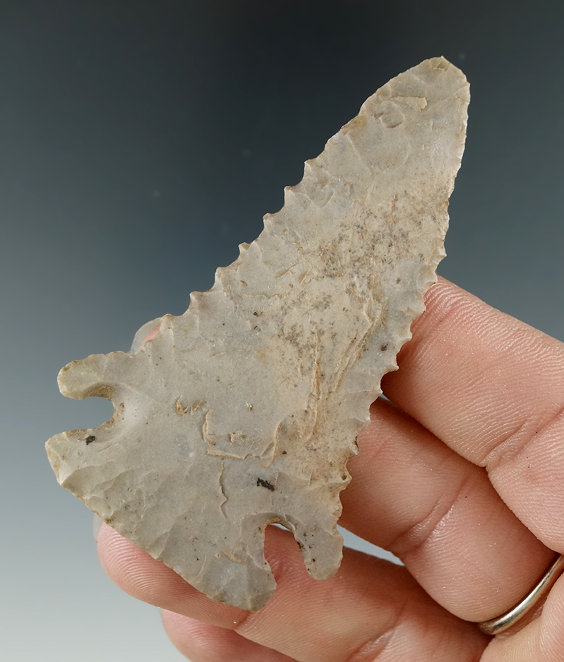 2 3/4" Pinetree with nice edge serrations. Found by J. Bond in 1967 in Fayette Co., Kentucky.