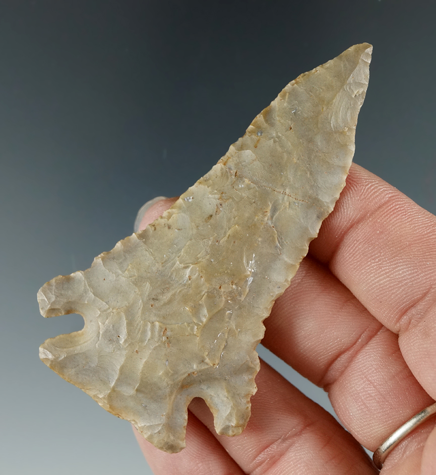 2 13/16" Pinetree found in Northern Kentucky. Ex. Brad MacKenzie, Ron Larson. Perino COA.