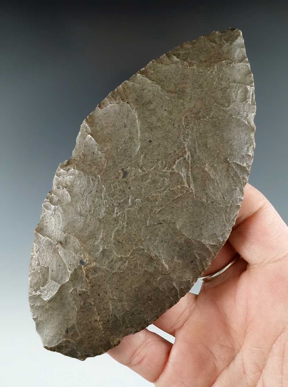 5 1/16" Blade made from Fossiliferous Chert, found in Macoupin Co., Illinois. Jackson COA.