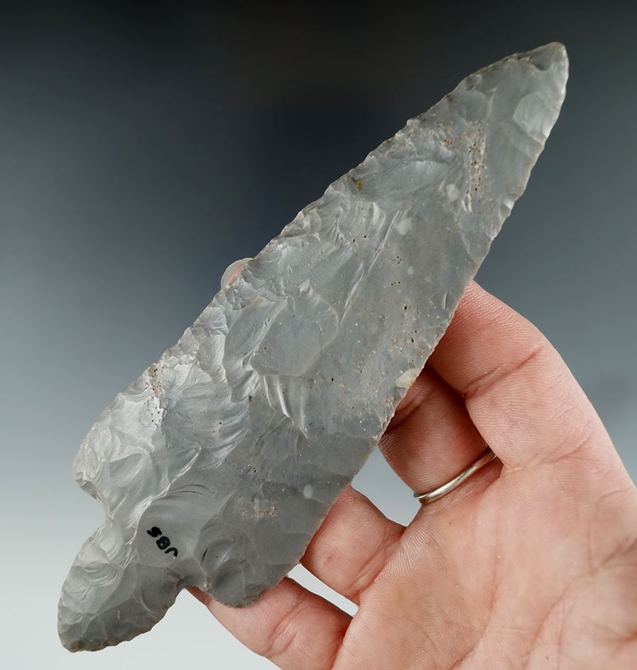 5 3/4" Beavertail Adena made from Hornstone, found in Harrison Co., Indiana. Berner COA.