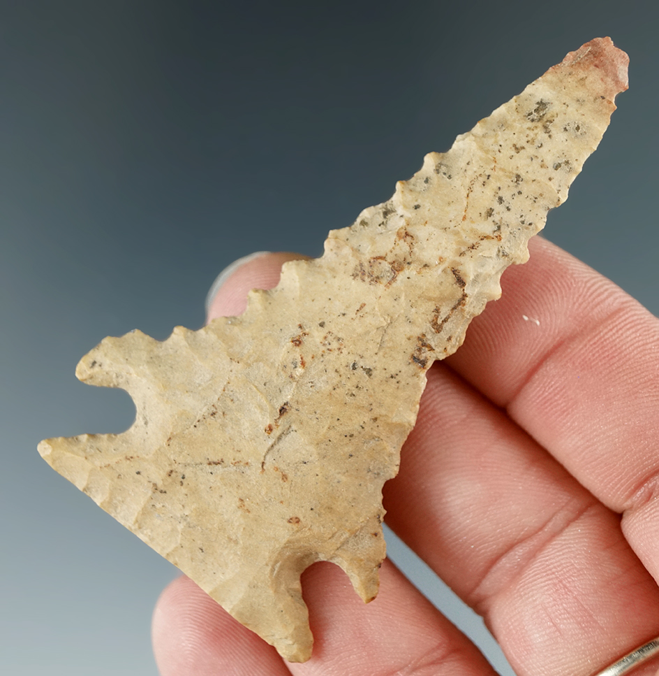 2 3/4" Pinetree made from Ft. Payne Chert, found in Benton Co., Tennessee. Davis COA.