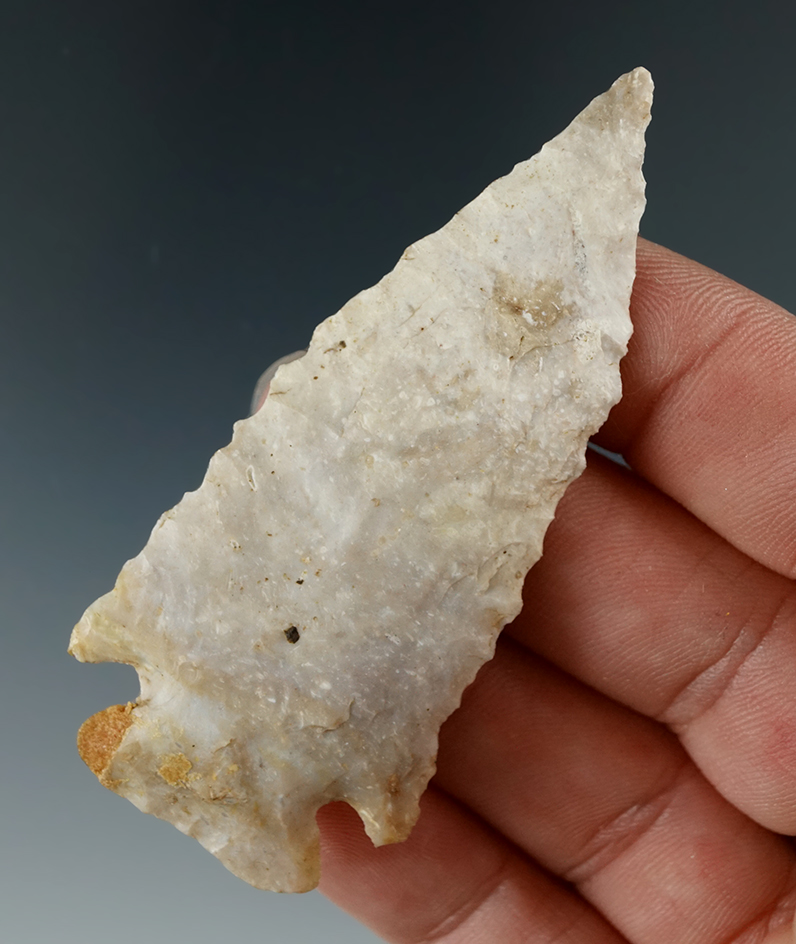 2 3/4" Pinetree made from Boyles Chert found in Kentucky. Minor restoration.