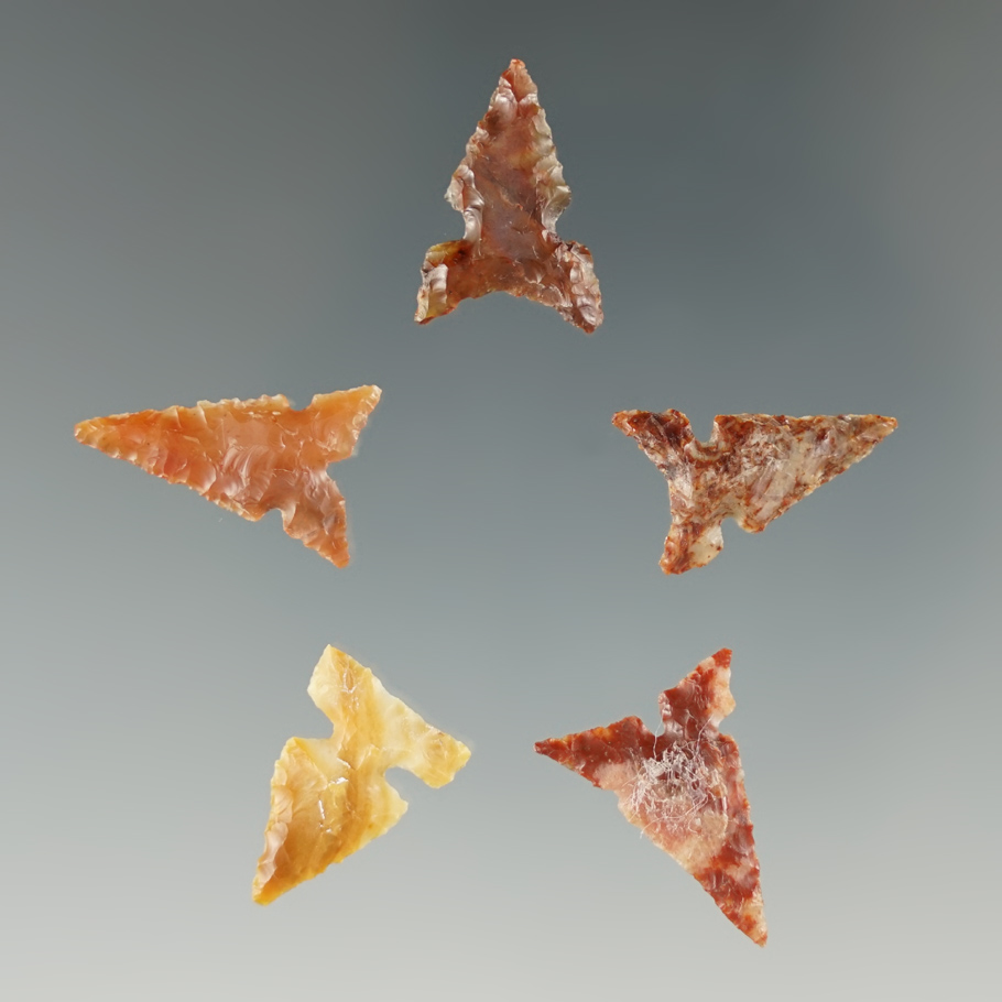 Set of 5 Desert Sierra Points found near the Columbia River, Oregon. Longest is 7/8".