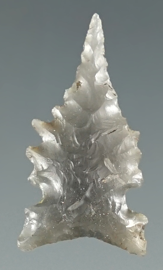 1" Calapooya Serrated Sidenotch made from Obsidian. Found near Fern Ridge, Eugene, Oregon.