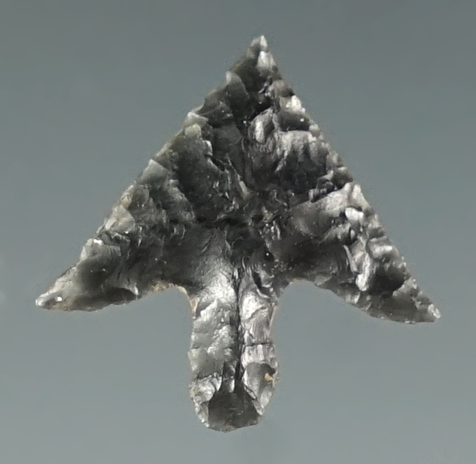 5/8" Columbia Plateau made from black Agate. Found near the Columbia River, Oregon.