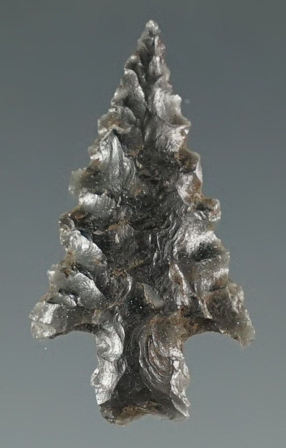 1" Calapooya Point made from Obsidian. Found near Fern Ridge, Eugene, Oregon.