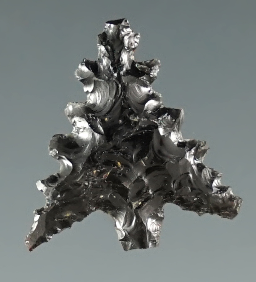 3/4" Calapooya with extreme serrations made from Obsidian. Found near Fern Ridge, Eugene, Oregon.