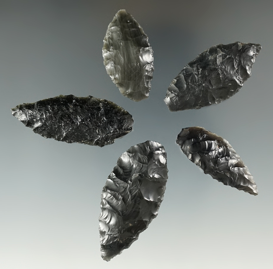 Set of 5 Cascade Leaf Blades, found in the Great Basin, Oregon. Longest is 1 3/4".