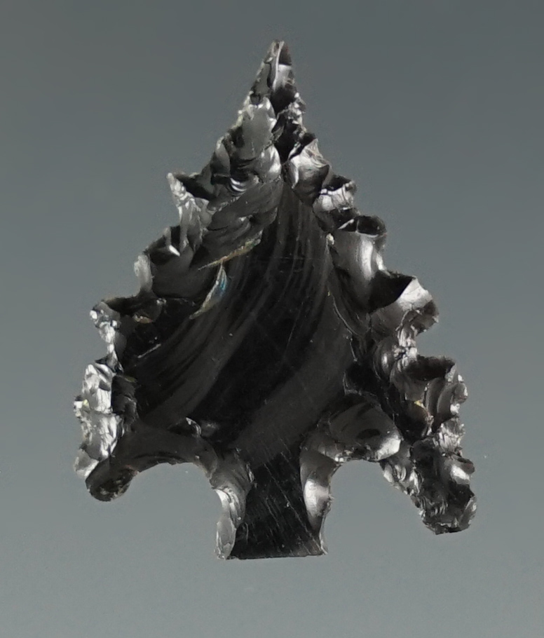 7/8" Calapooya Point made from Obsidian. Found near Fern Ridge, Eugene, Oregon.