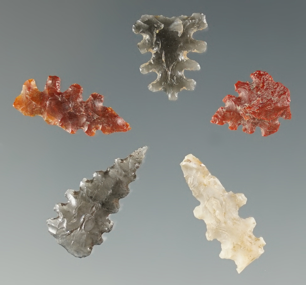 Set of 5 Calapooya Fern Leaf Points found at Fern Ridge, near Eugene, Oregon. Longest is 3/4".