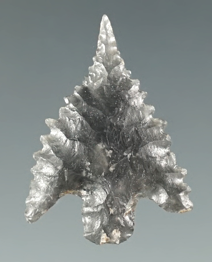 1" Calapooya Point with fine serrations made from Obsidian. Found near Fern Ridge, Eugene, Oregon.