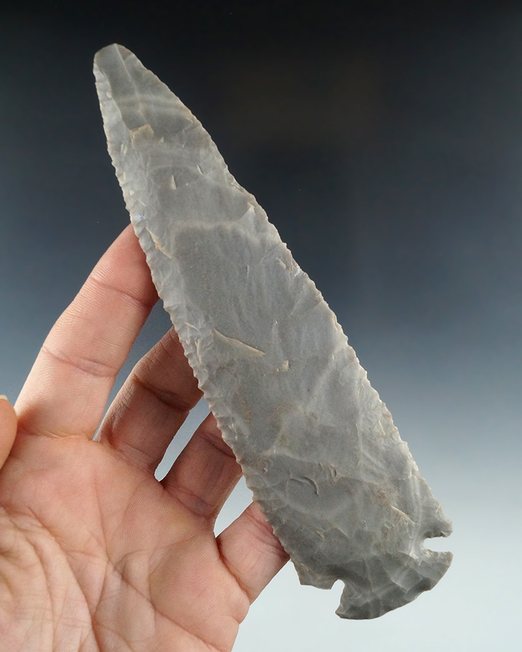 Large 5 3/4" Dovetail made from Hornstone, Southern Indiana. Ancient impact fracture to tip.