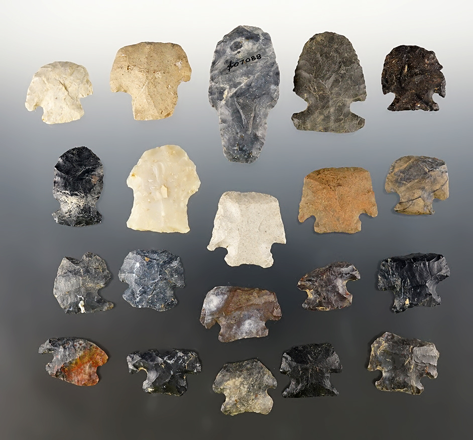 Set of 20 Ohio Hafted Scrapers in excellent condition. The largest is 2 3/16".