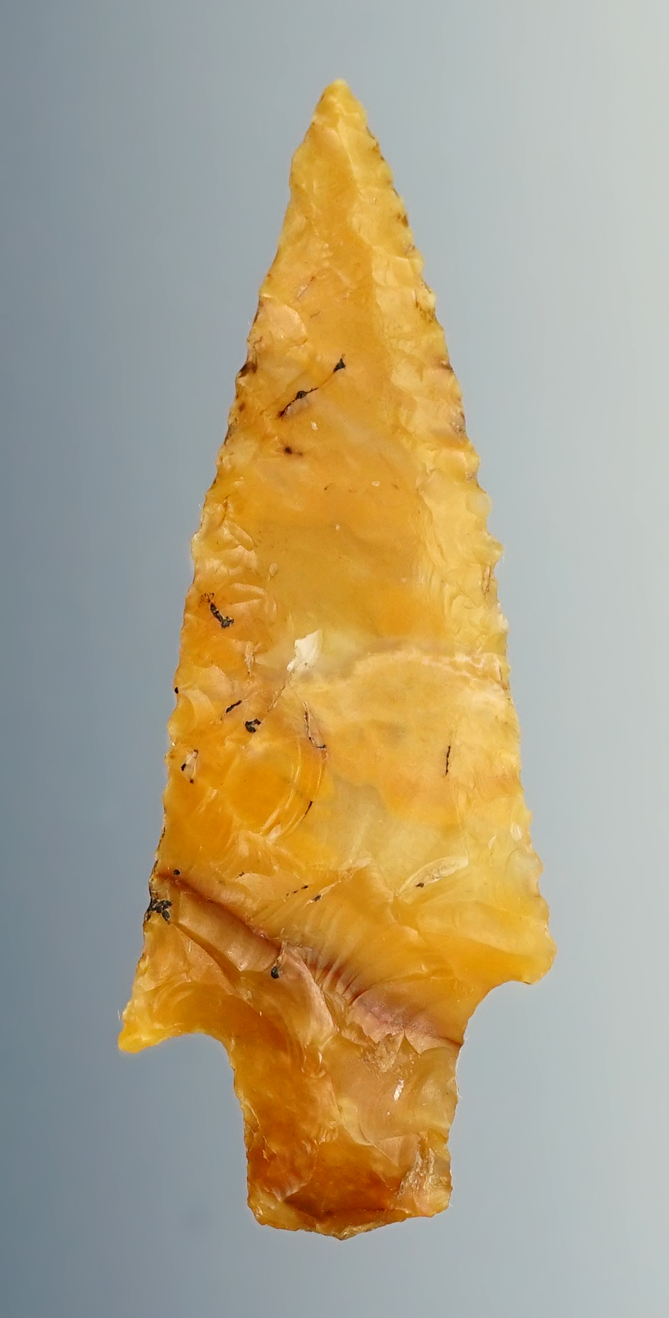 Exceptional 1 5/8" Rabbit Island found near the Columbia River in the 1960's. 