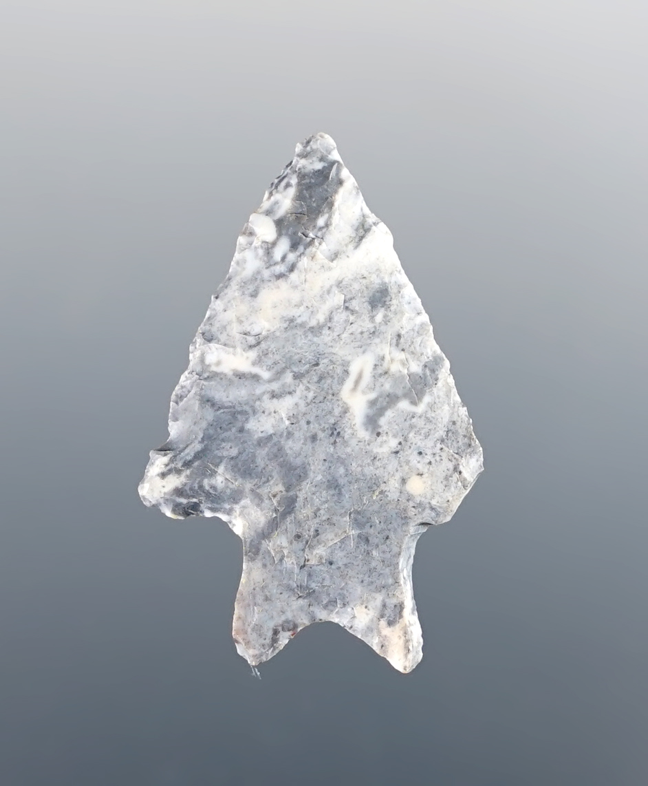 1 1/8" Lake Erie Bifurcate from Coshocton Flint with rare burin-flaked basal lobes. Ohio .