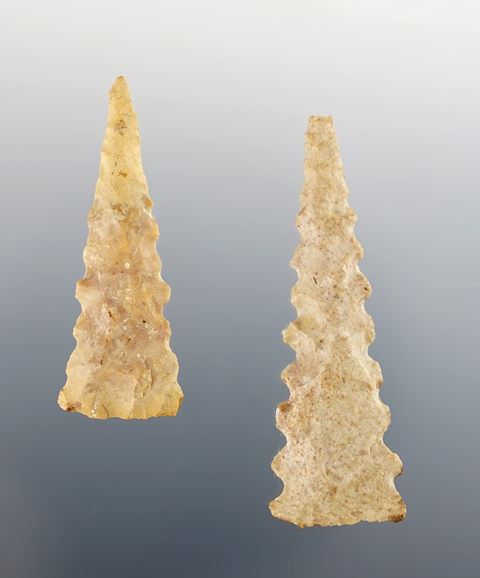 Pair of serrated Ft. Ancient Triangle points found in Scioto Co., Ohio by Phil Kientz. 