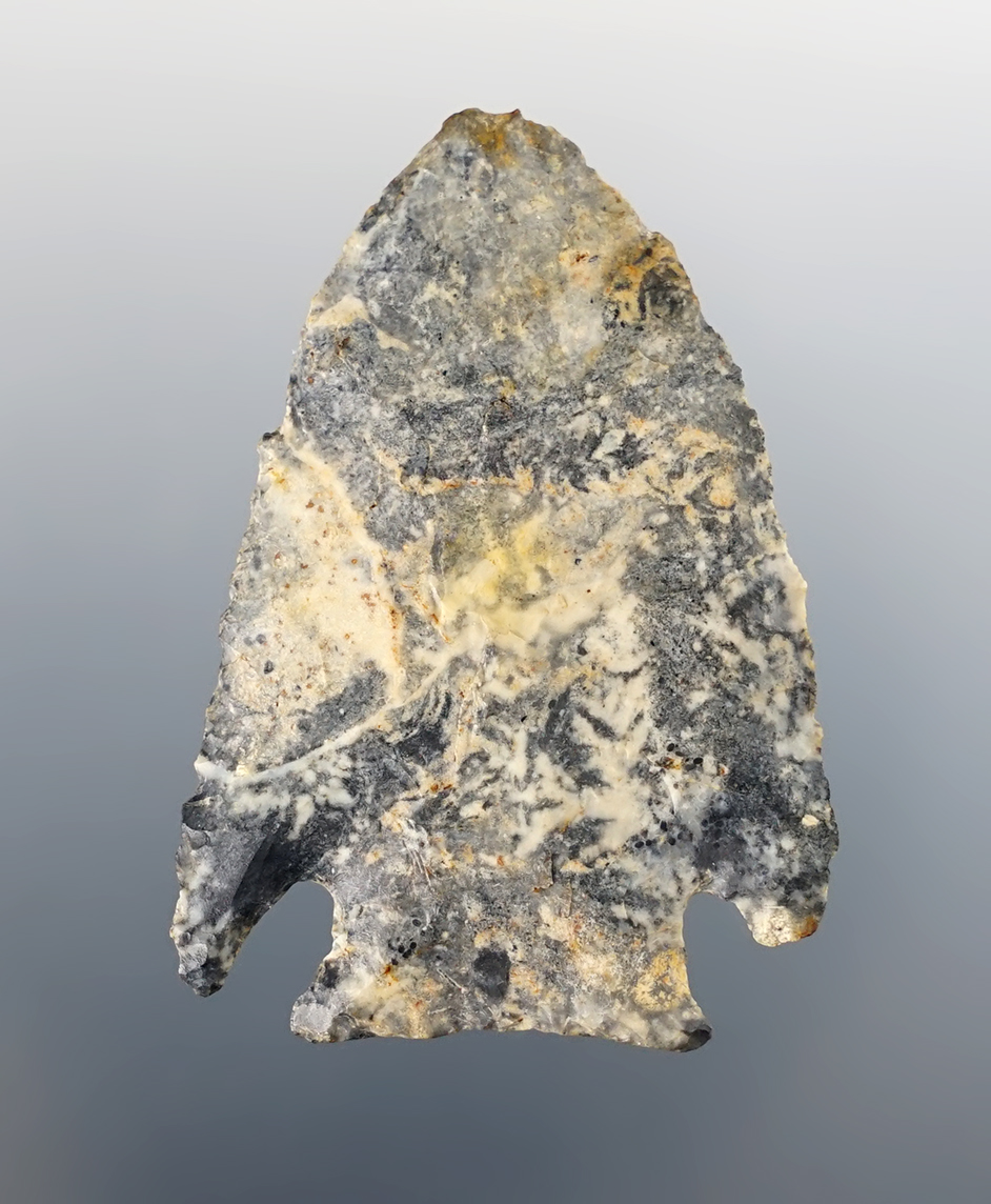 1 7/8" Cornernotch made from "Bird Dropping" Coshocton Flint. Found in Coshocton Co., Ohio.