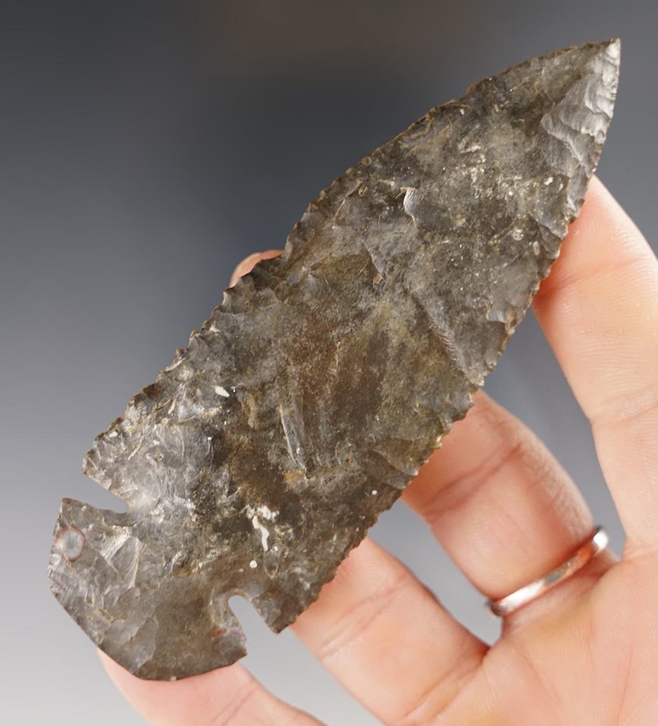 Superb! 4 1/16" Hip Roof style Dovetail found in Henry Co., Ohio. Fine serrations excellent flaking.