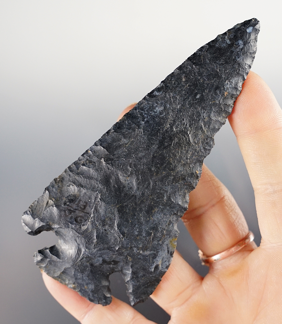 4 3/16" Archaic Corner Notch made from Coshocton Flint found in Darke Co., Ohio. Pictured! COA.