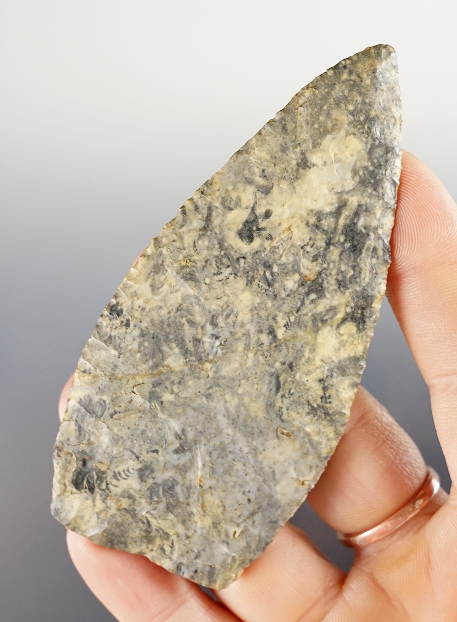 Very Rare! 3 1/2" Intrusive Mound Blade made from Coshocton Flint. Found in Mahoning Co., Ohio. 