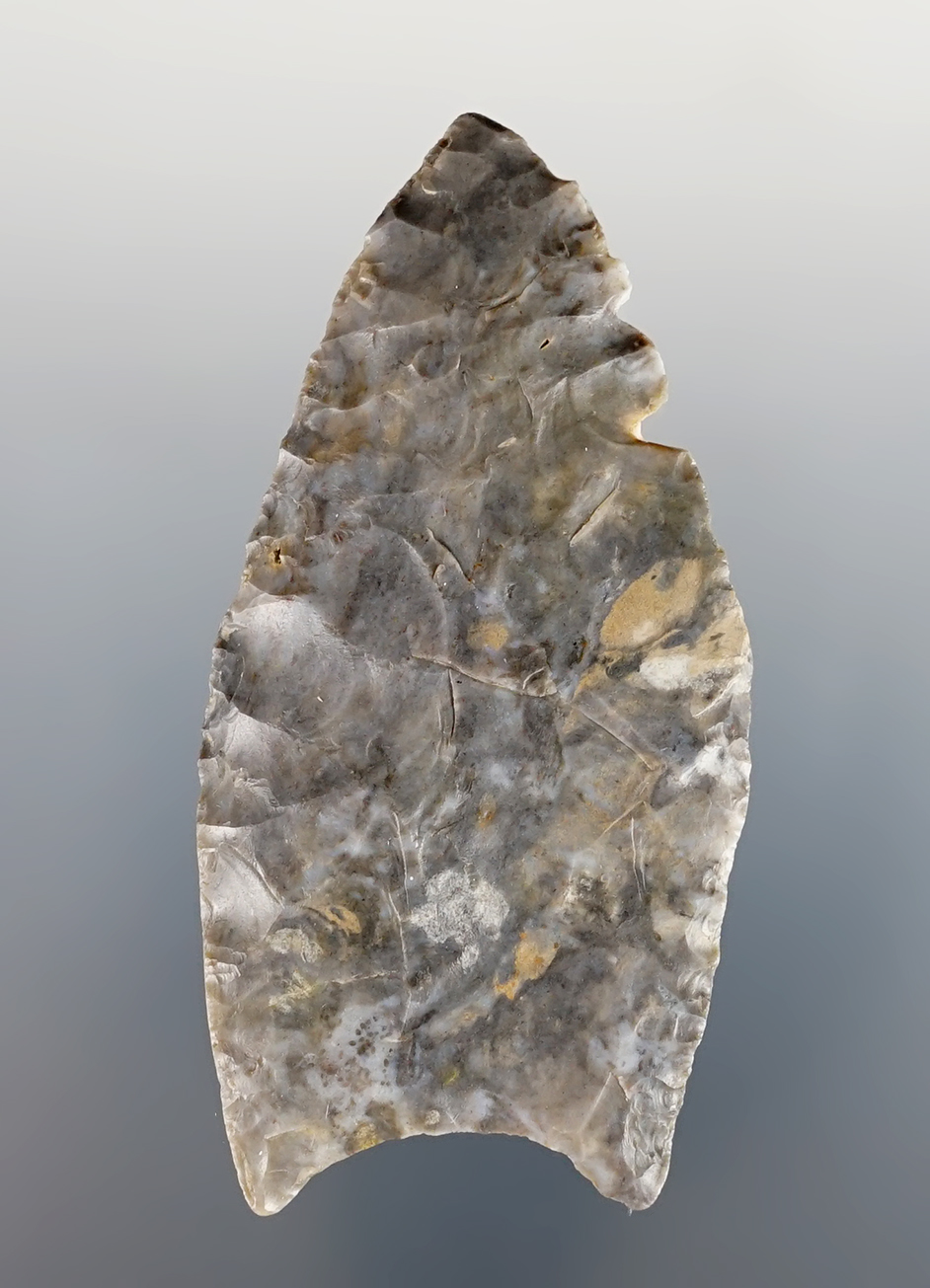 Well made 2 11/16" Fluted Paleo Clovis found in Richland Co., Ohio. Comes with a Bennett COA.