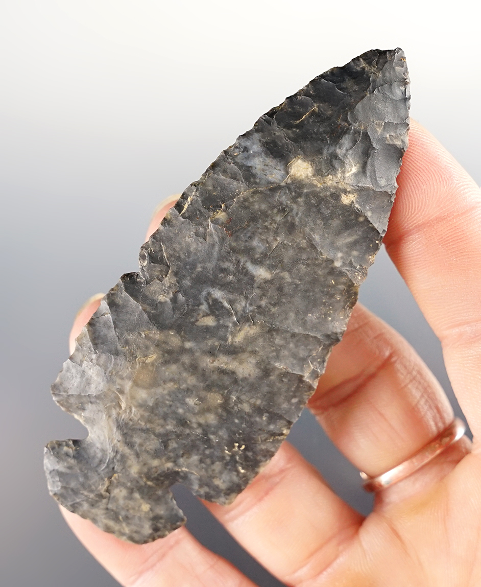 3 7/16" classic style mottled Coshocton Flint Dovetail found in Marion Co., Ohio. Ex. Lee Keller. 