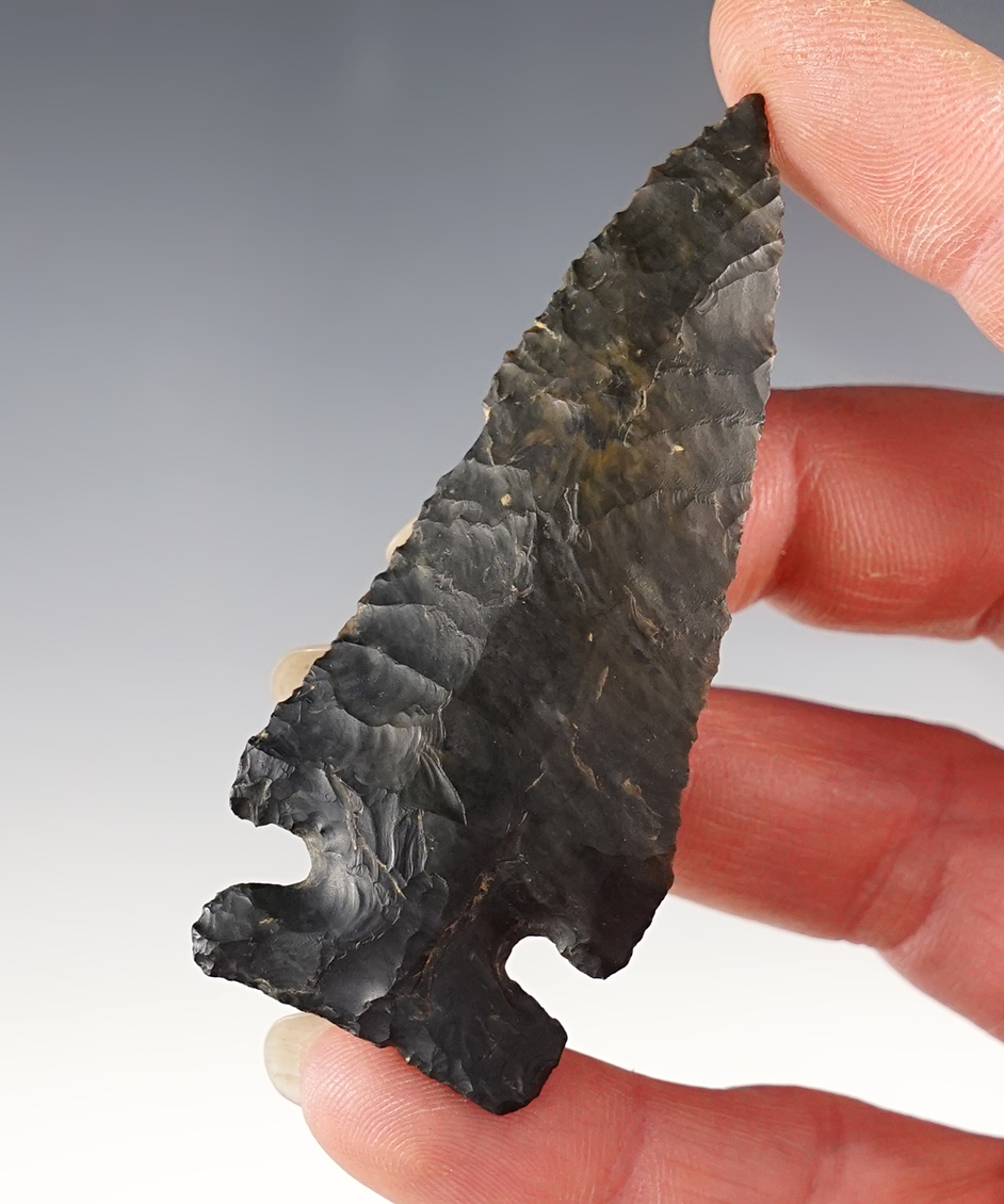 2 13/16" Coshocton Flint Ohio Beveled Archaic point with fine flaking and excellent form. 