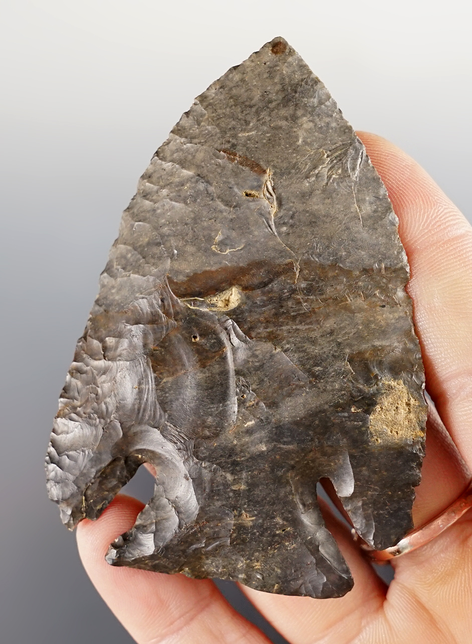 Beautiful 3" Archaic Deep Notch Bevel made from Coshocton Flint. Found in Franklin Co., Ohio. 