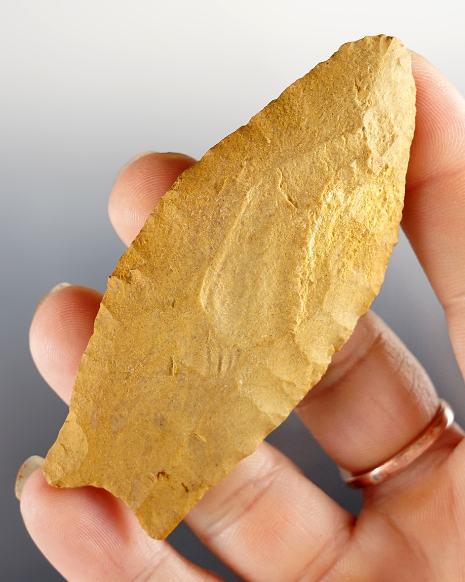 3" Fluted Paleo point found in Fulton Co., Ohio. Comes with a Bennett COA.