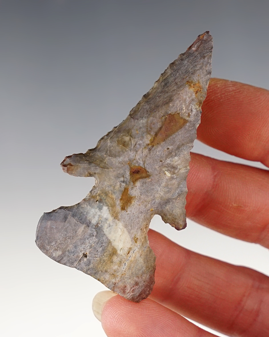 2 9/16" Ohio Thebes that is steeply beveled. Made from colorful Coshocton Flint.