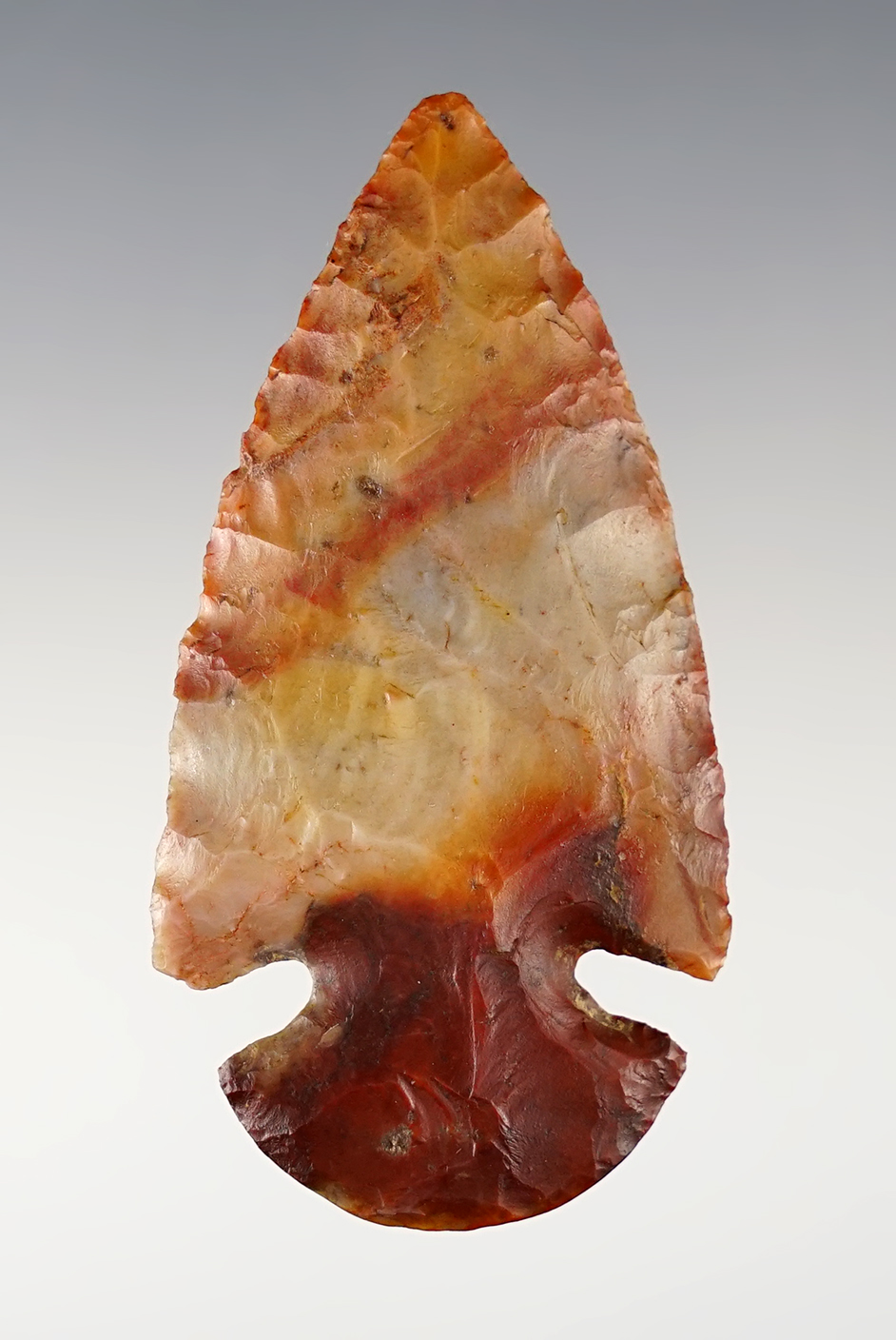 2 5/8" Wide-Base Dovetail found in 1991 by J. Turner , Erie Co., Ohio. Bennett COA.