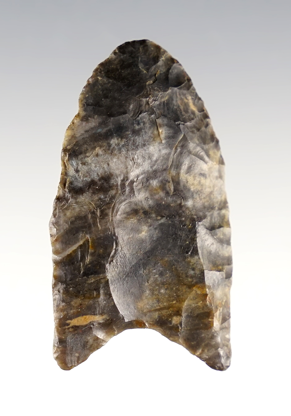 Fine 1 11/16" Fluted Paleo Clovis - Fairfield Co., Ohio. Bennett COA.