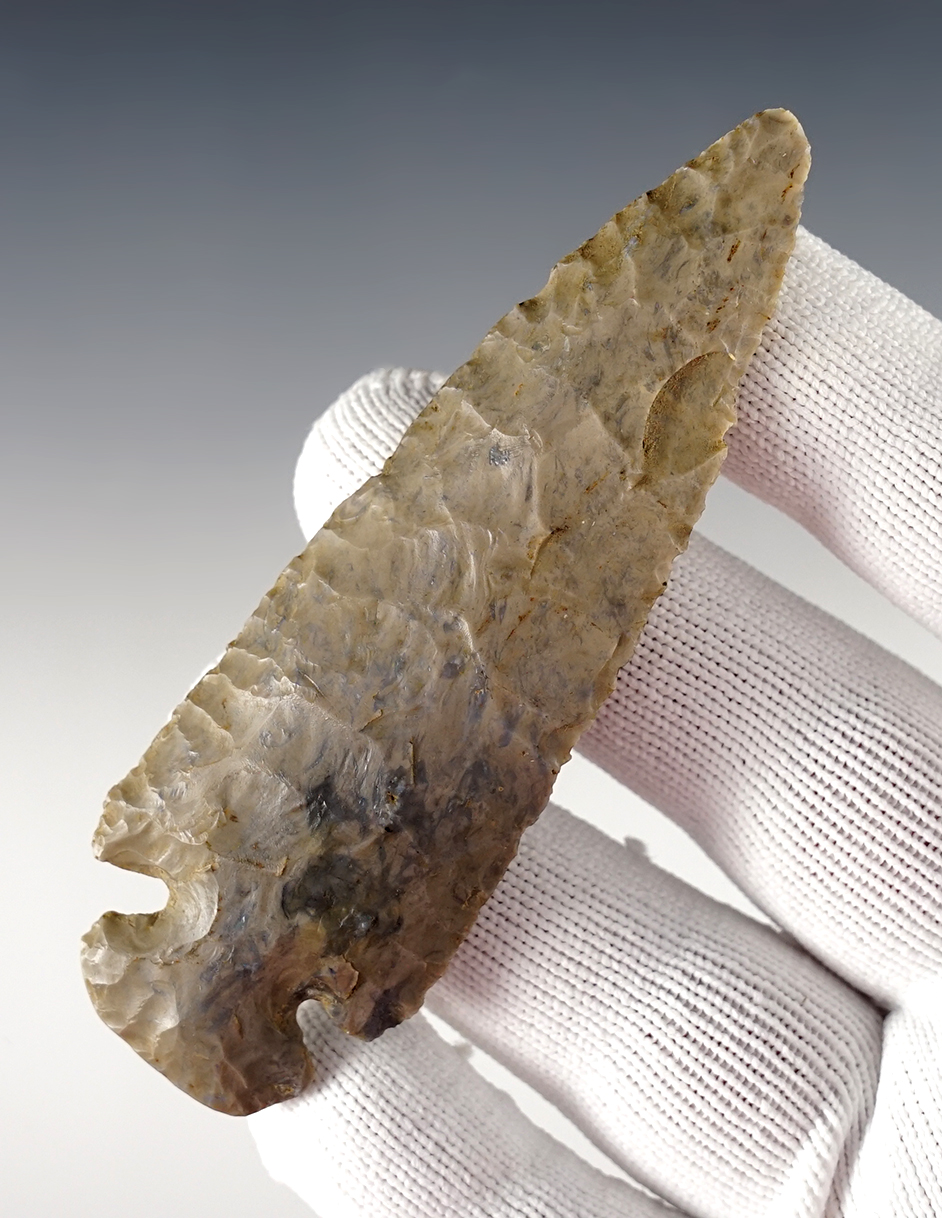 Excellent form on this 3 7/8" Ohio Dovetail with heavy basal grinding.  Great example.