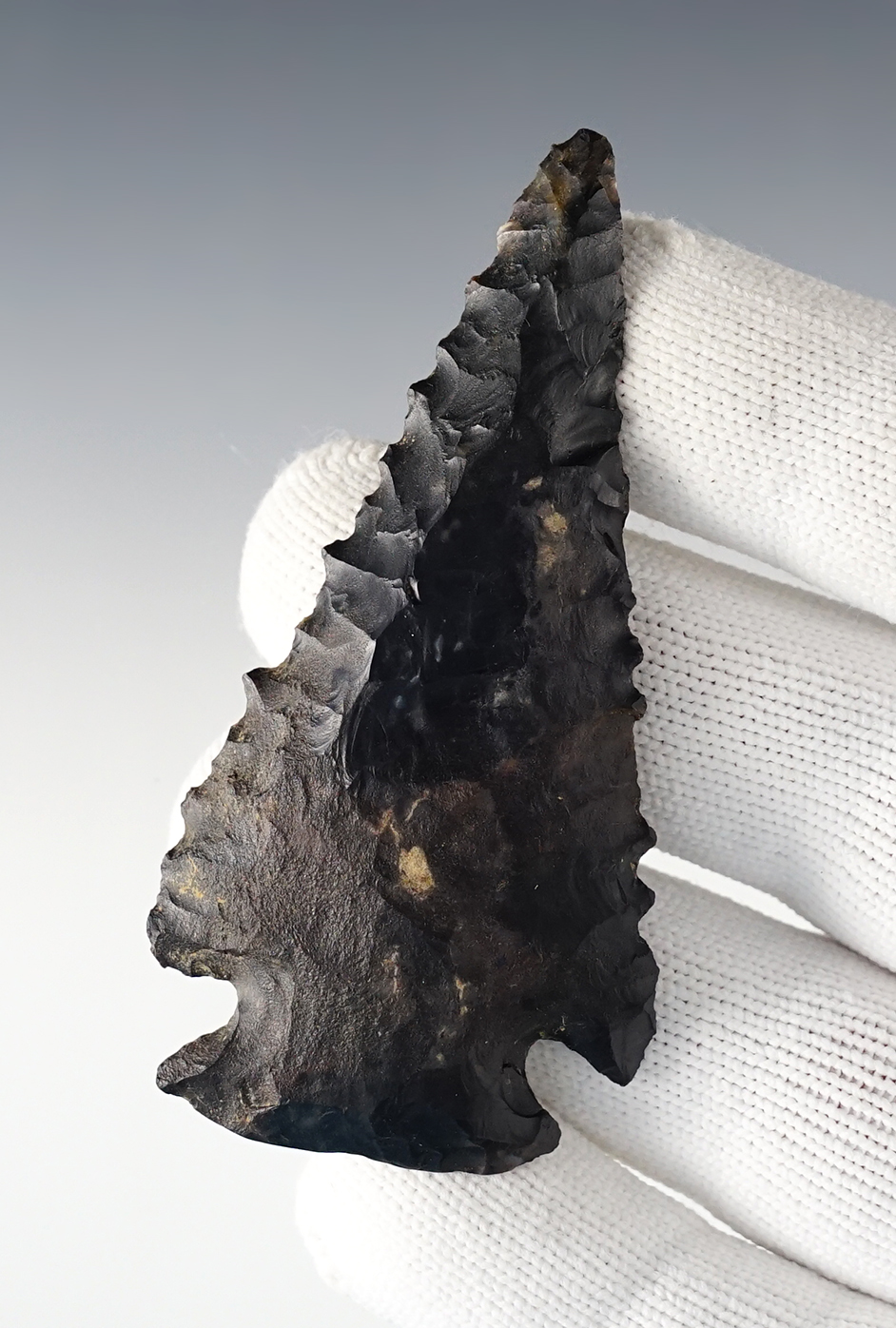 Classic styled 3 1/8" Ohio Notch-Base Dovetail with excellent serrations. Davis COA