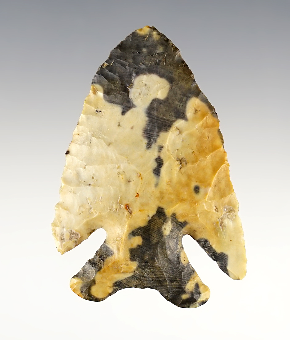 2 1/8" Archaic Bevel - Nethers Flint. Sunbury, Delaware Co., Ohio. Great old example.