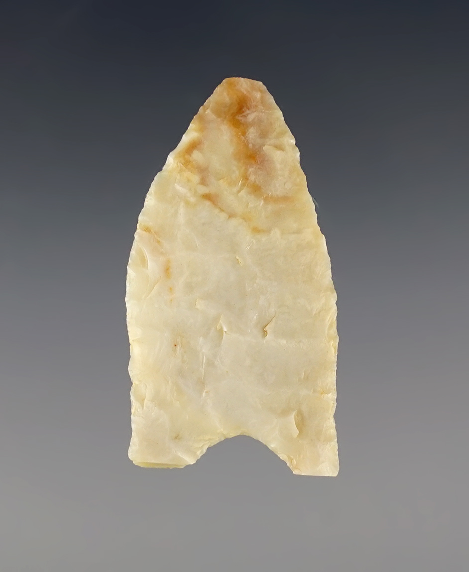 1 9/16" Paleo Allen made from Alibates Flint. Recovered in the Plains area. Jackson COA.