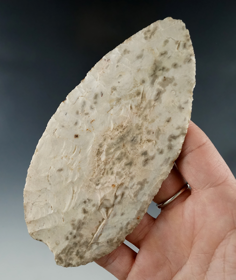 5 1/8" Ovate Knife that is very thin for size, found in Indiana.