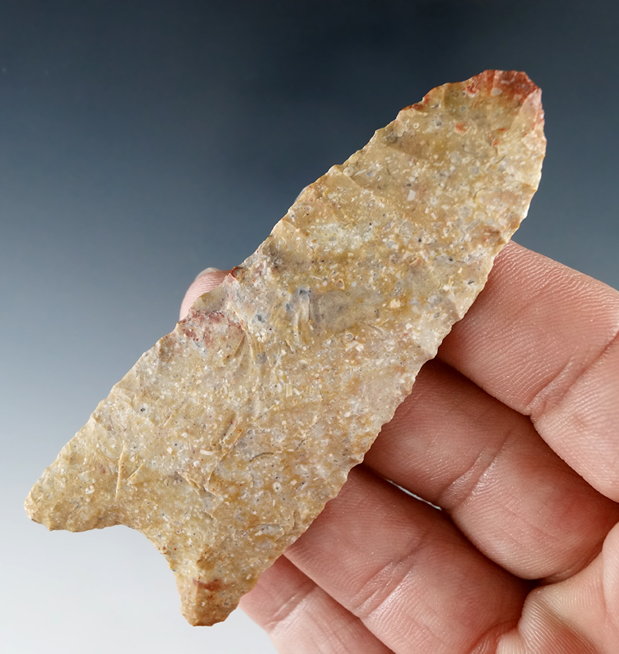 3 1/8" Beautifully flaked Early Dalton made from attractive material, found in Wayne Co., Indiana.