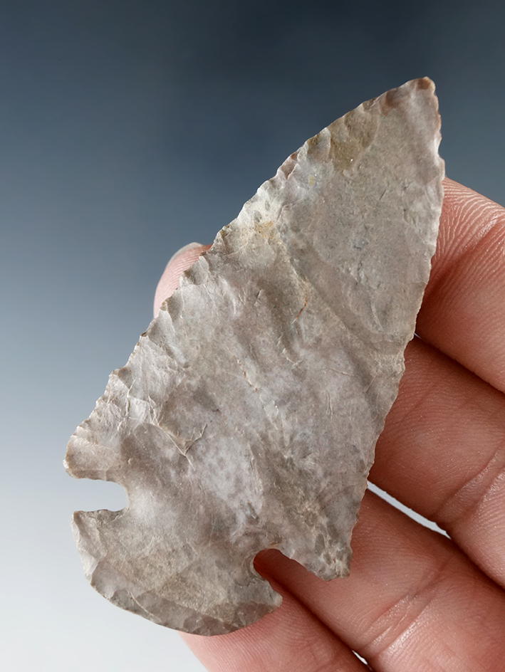 2 9/16" Dovetail found in Indiana, made from attractive multi-colored flint.