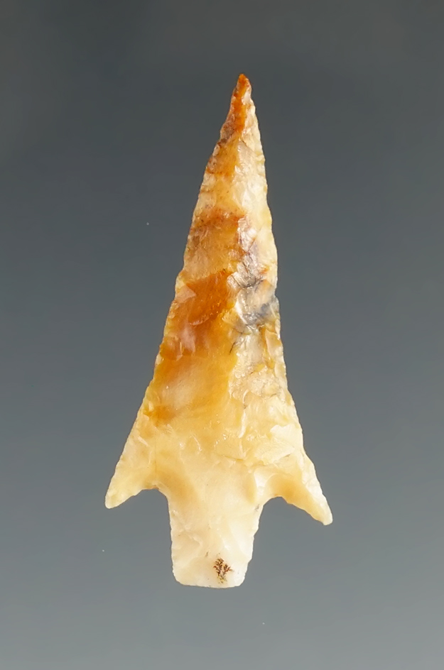 Nicely made 1 1/4" Rabbit Island made from multi-colored flint, Washington.  Bennett COA.