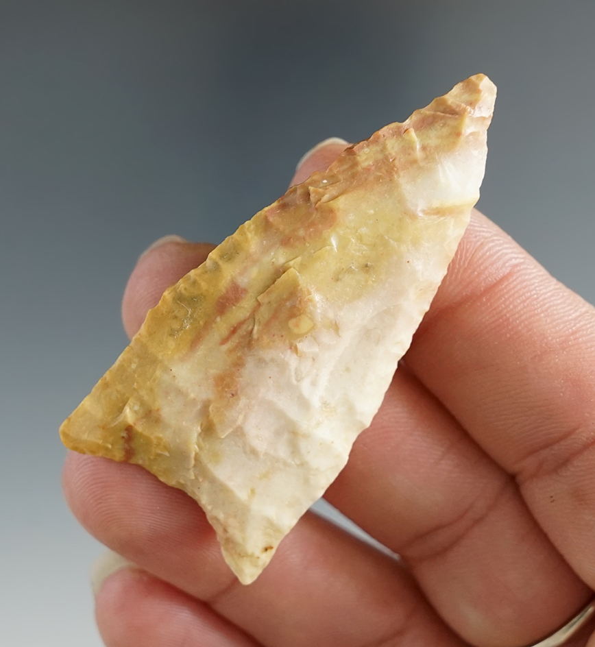 2 1/8" Dalton found in East Texas. Ex. Harold Huges Collection. Comes with a Rogers COA.