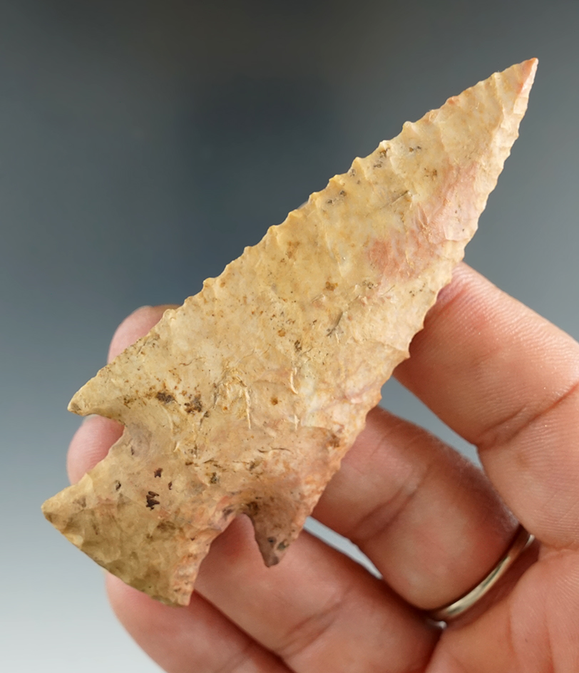 2 3/4" Serrated Hardin - Missouri. Restoration to 5/8" of Base. Rogers and Jackson COA's