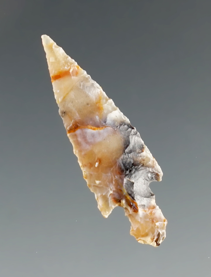 1 1/4" Dagger found by Norma Berg near the Columbia River, Washington. Bennett COA & COO.