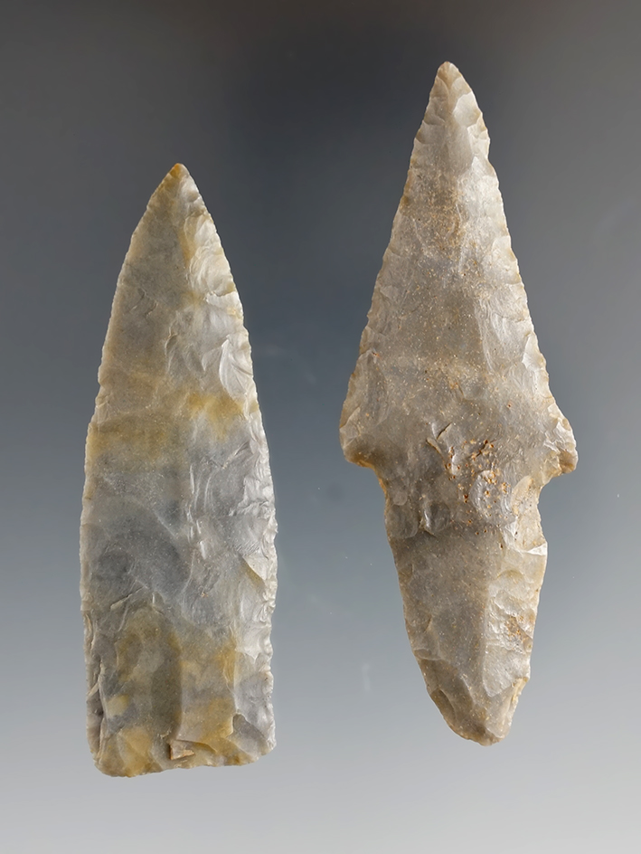 Pair of Hornstone arrowheads - Trigg Co., Kentucky including a pictured Beavertail Adena.