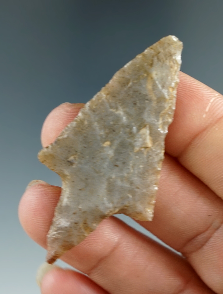 2 1/8"  Arenosa point made from quality material found in Texas.